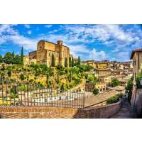 Read Indus Travels Inc. Reviews